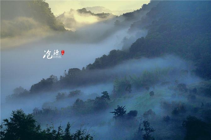 虫虫助手下载