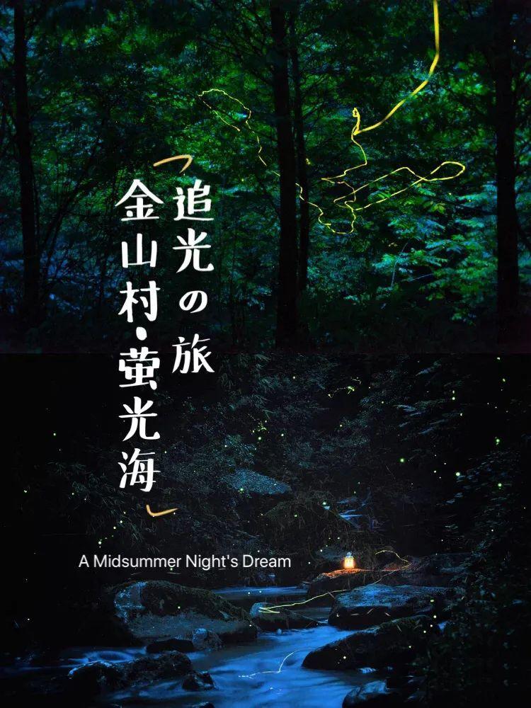 老公一吵架就砸东西,我该怎么对付?-优质生活百科知识分享平台