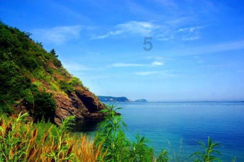 我的一对鸽子 公鸽是个3年的老鸽 母鸽是6个月的鸽子 下了一对蛋后 母鸽不知道怎么孵化蛋 蹲在窝里-最全面的问答类网站